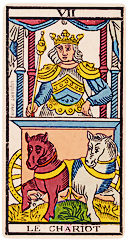 T7_Tarot.jpg